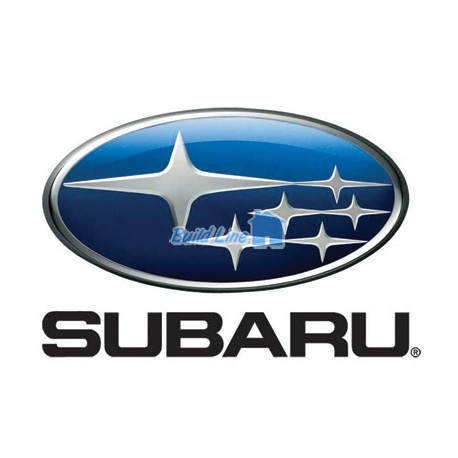  Стрижневе ущільнення на Robin Subaru ЕХ17-21