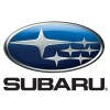  Стрижневе ущільнення на Robin Subaru ЕХ17-21